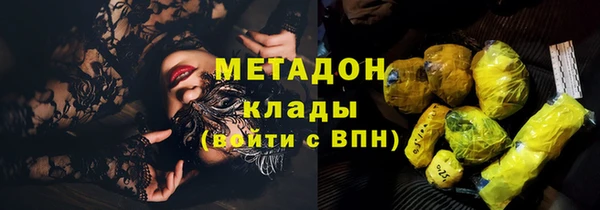 индика Калининец