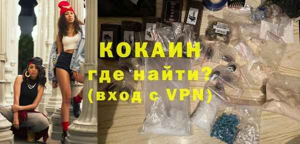 индика Калининец