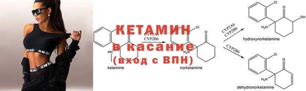 индика Калининец