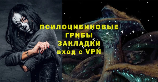 индика Калининец