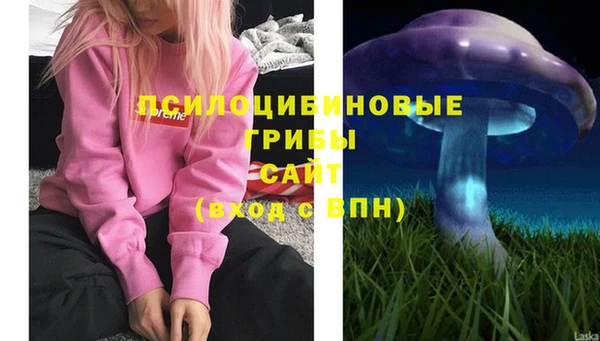 скорость Фёдоровский