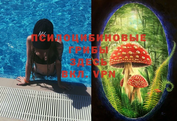 скорость Фёдоровский