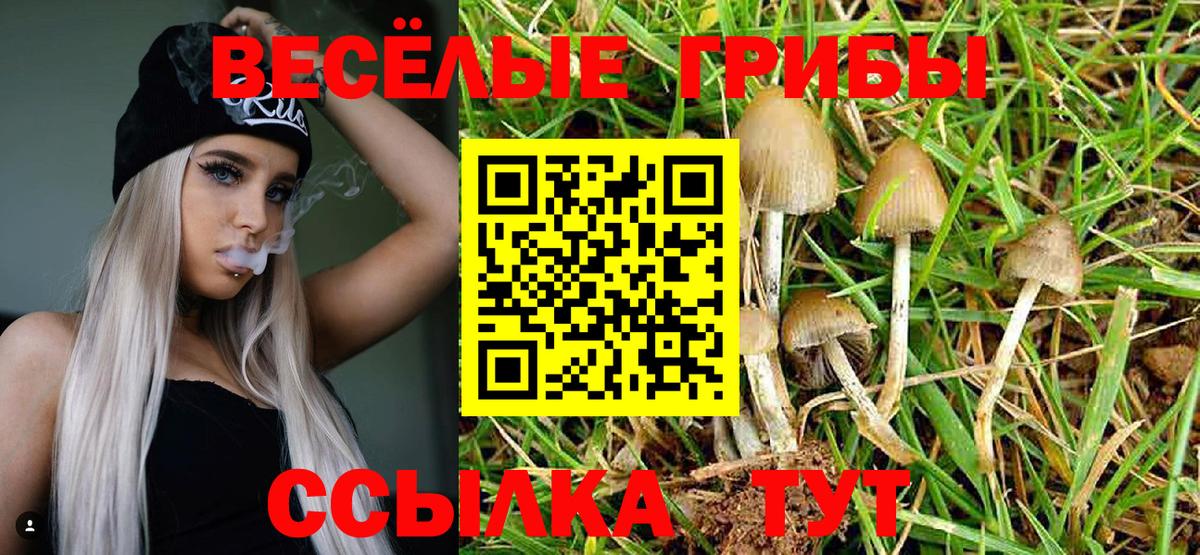 Галлюциногенные грибы Cubensis Коломна