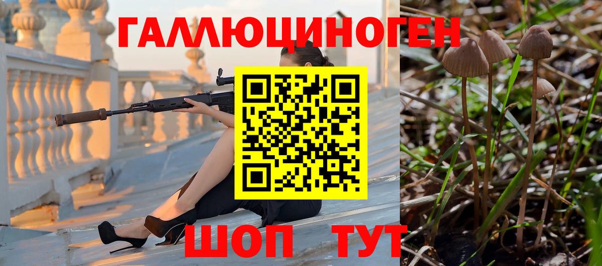 Коломна  Галлюциногенные грибы Psilocybe  Вход с VPN 